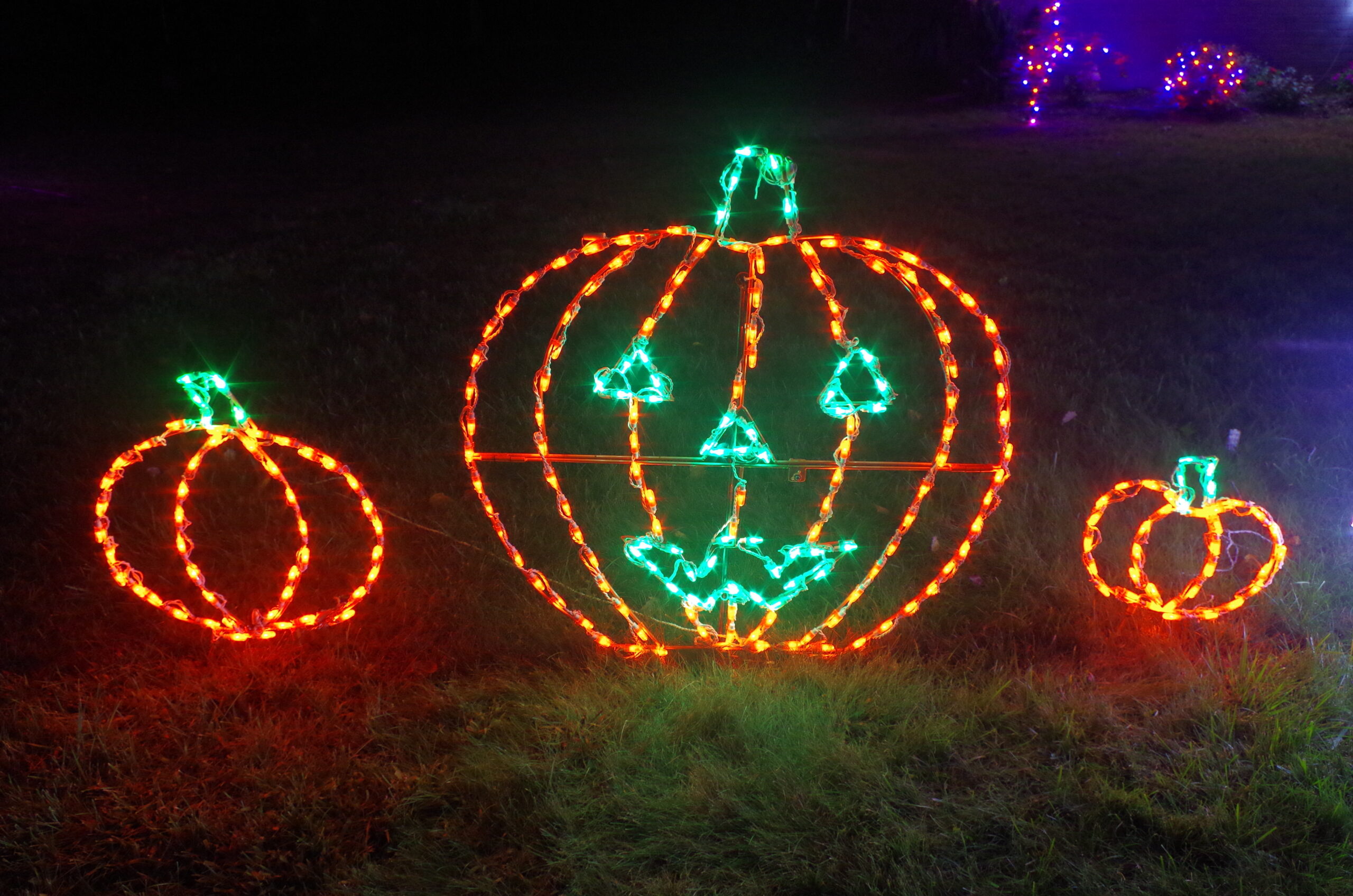 halloween lighting decoration scaled.jpg