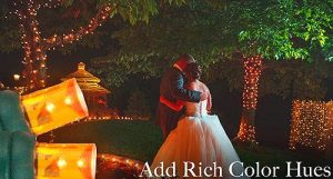 weddinglightnew1