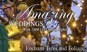 weddinglightnew3